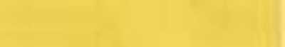 cadmium yellow pale